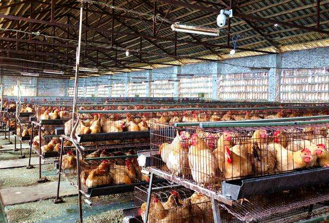 多功能RTU應(yīng)用